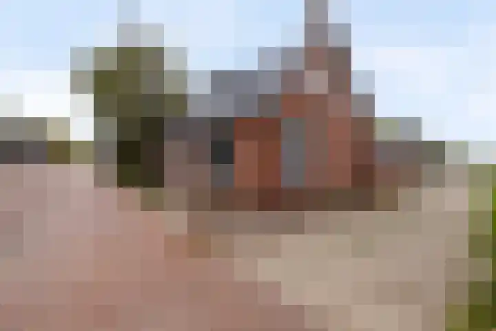 Optwizel 47 Twijzel thumbnail 6