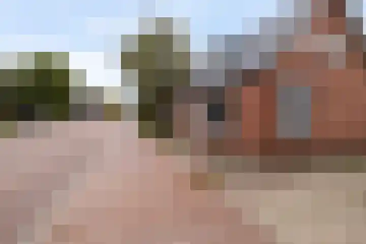 Optwizel 47 Twijzel thumbnail 9