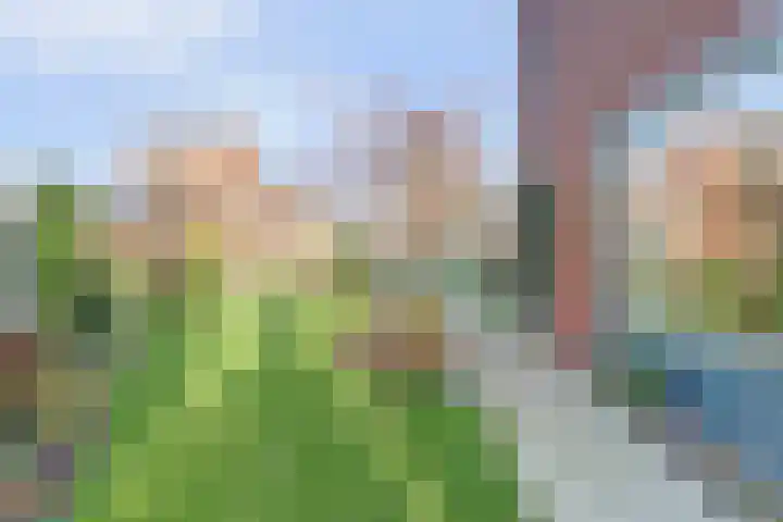 Opveld 2 Cothen thumbnail 30