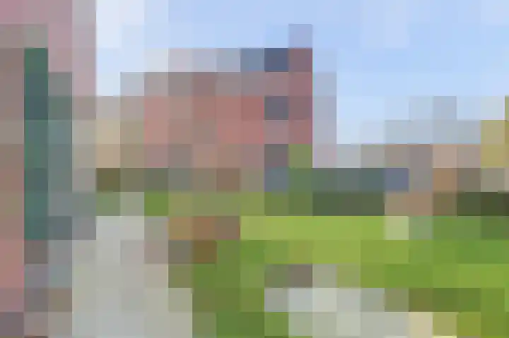 Opveld 2 Cothen thumbnail 31