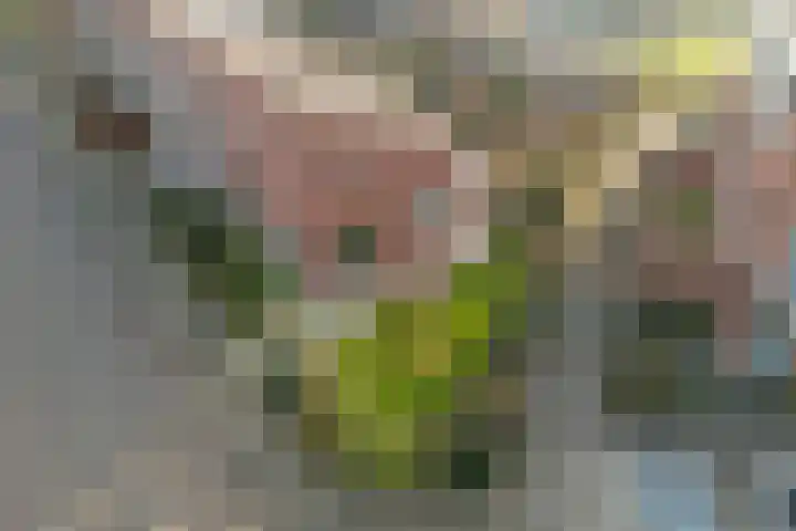 Opveld 2 Cothen thumbnail 37