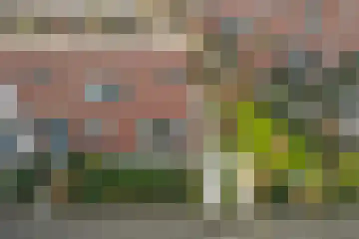 Opveld 2 Cothen thumbnail 38