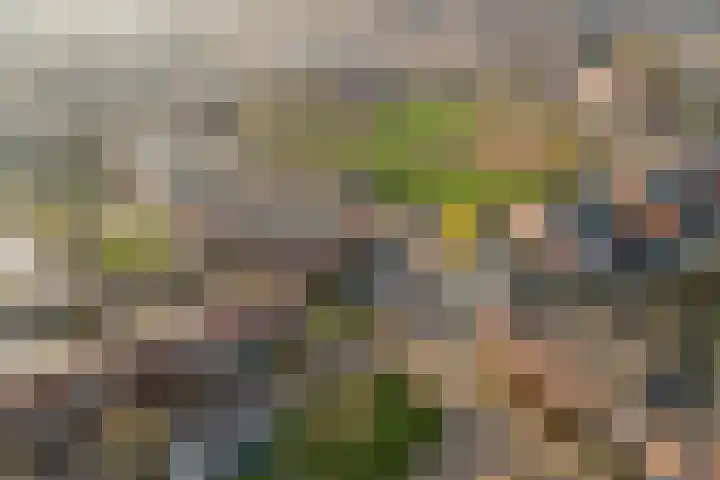Opveld 2 Cothen thumbnail 40