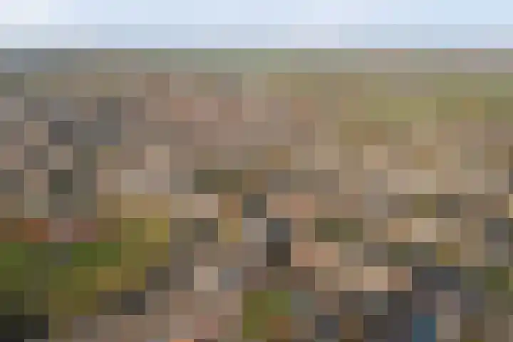 Opveld 2 Cothen thumbnail 41
