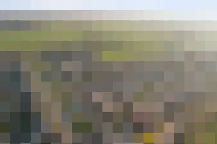 Opveld 2 Cothen thumbnail 42