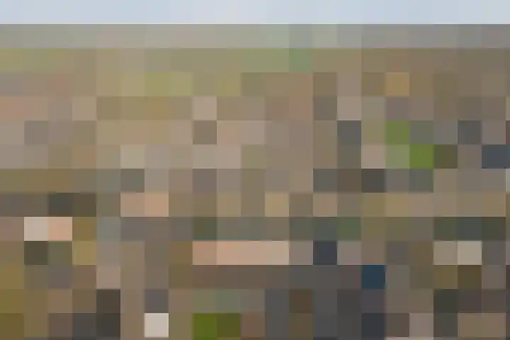 Opveld 2 Cothen thumbnail 43