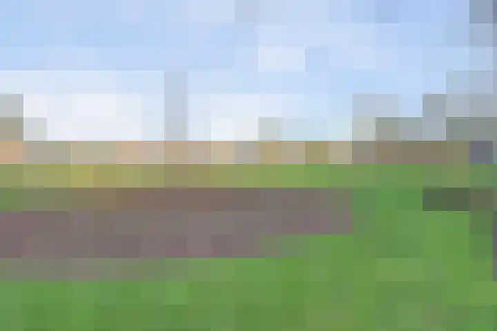 Opveld 2 Cothen thumbnail 44