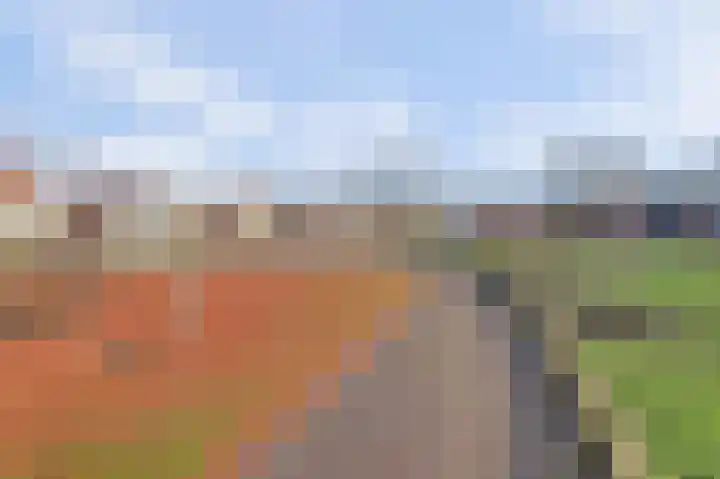 Opveld 2 Cothen thumbnail 45