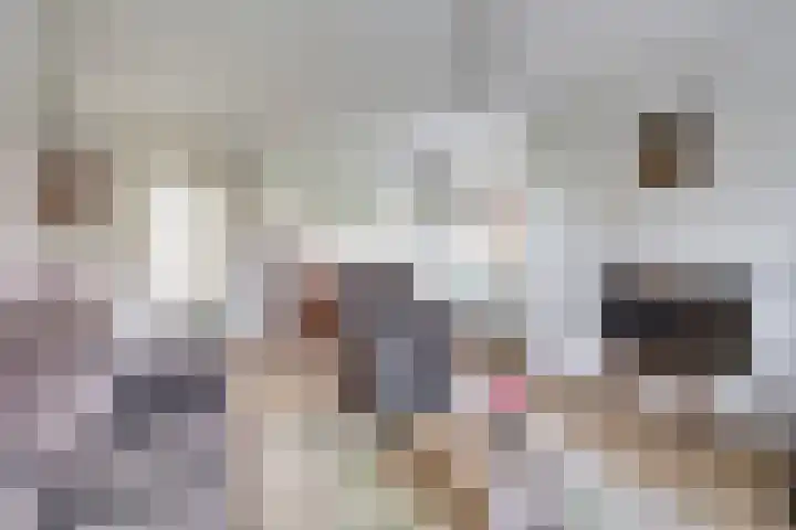 Opveld 2 Cothen thumbnail 5