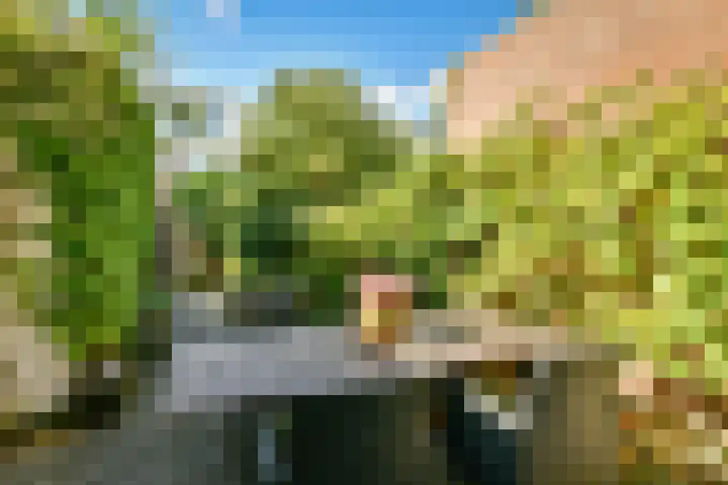 Opveld 26 Amsterdam thumbnail 12