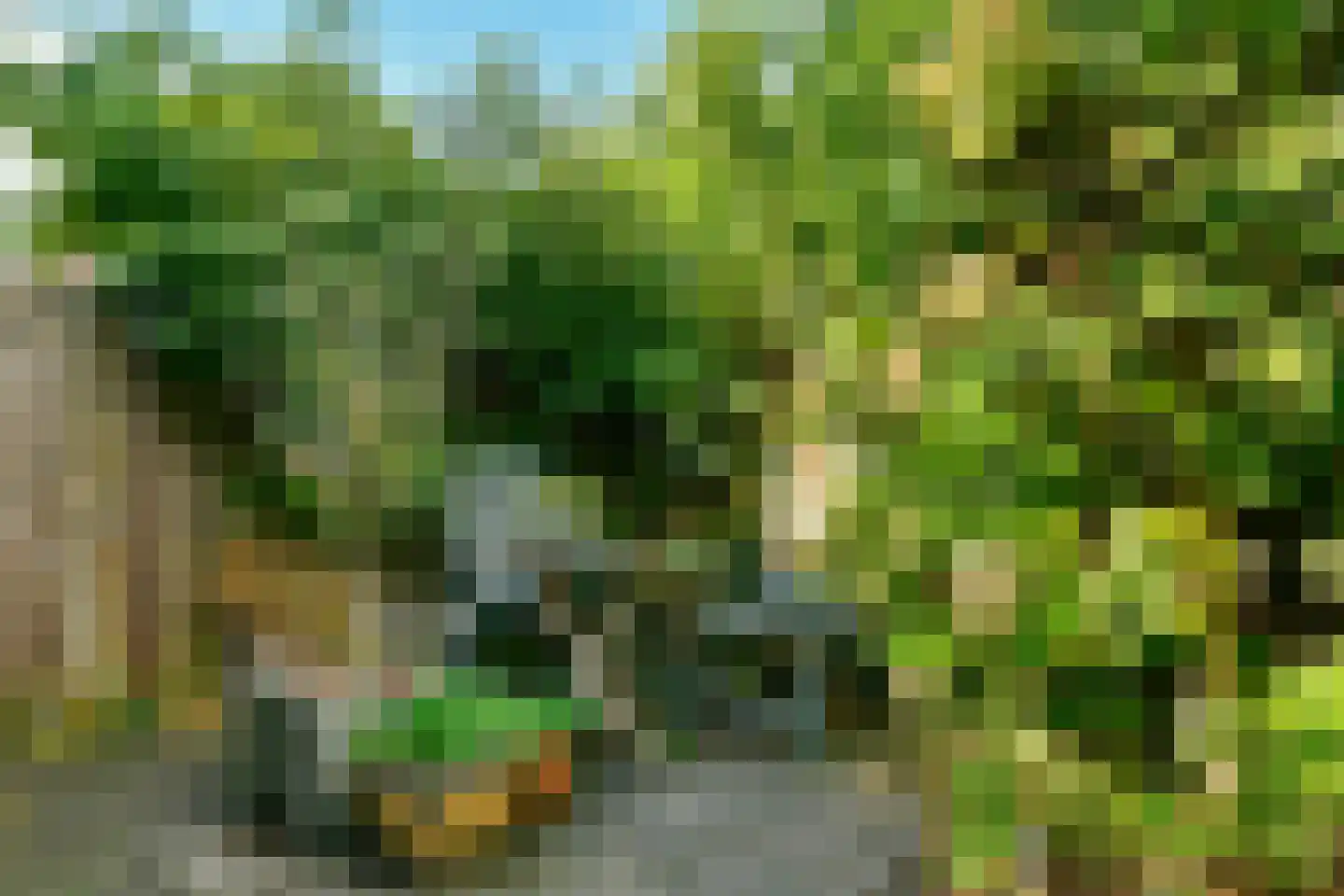 Opveld 26 Amsterdam thumbnail 14