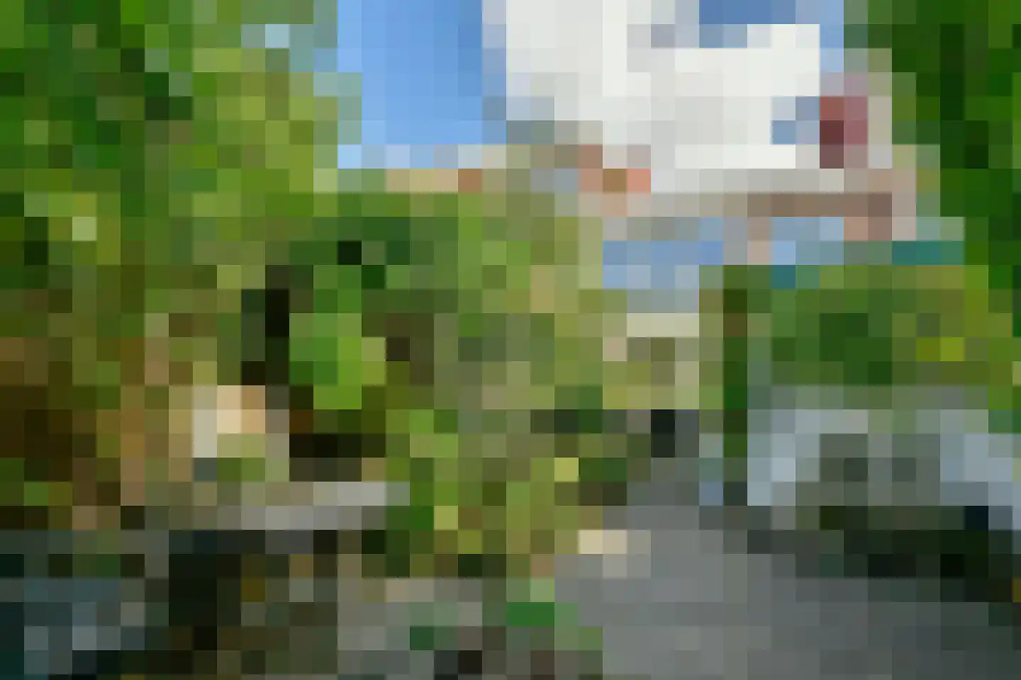 Opveld 26 Amsterdam thumbnail 15