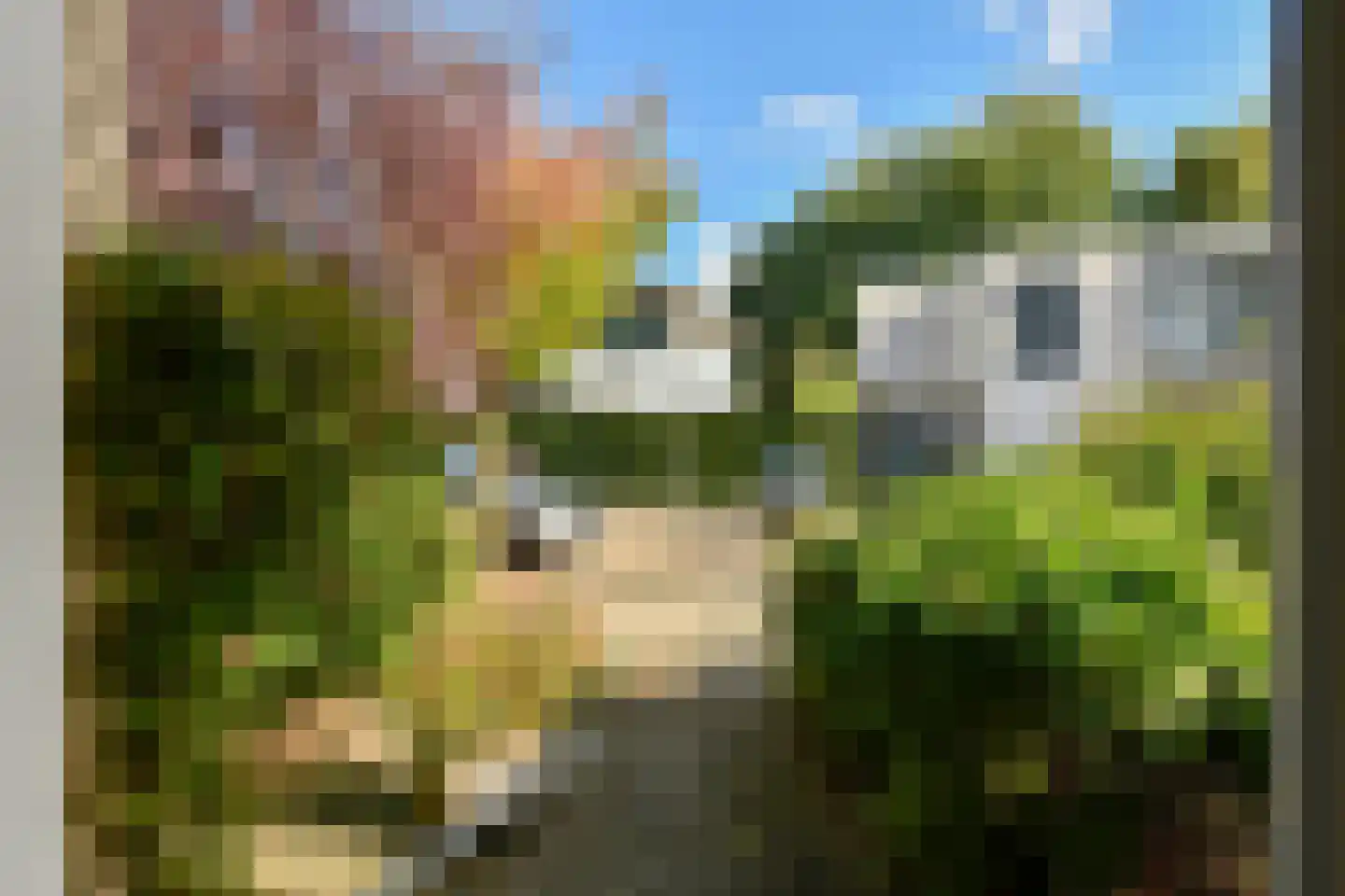 Opveld 26 Amsterdam thumbnail 7