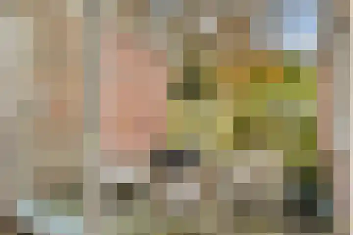 Opveld 28 Amsterdam thumbnail 12
