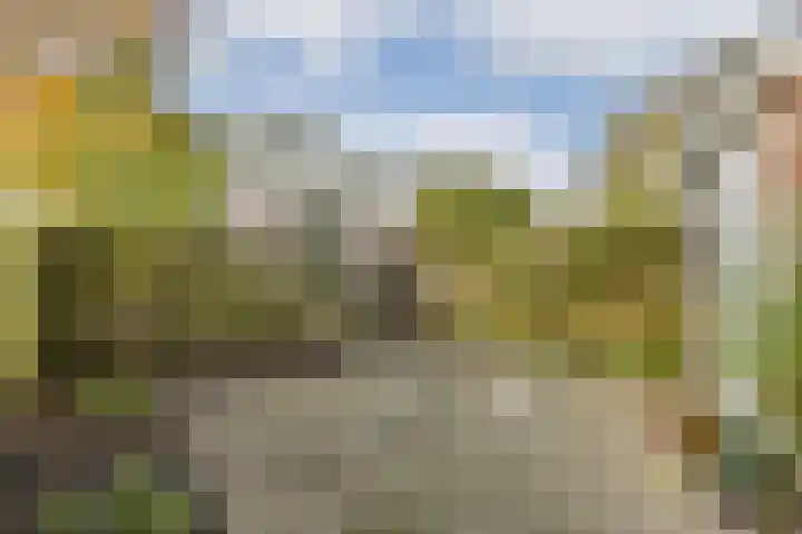 Opveld 28 Amsterdam thumbnail 13