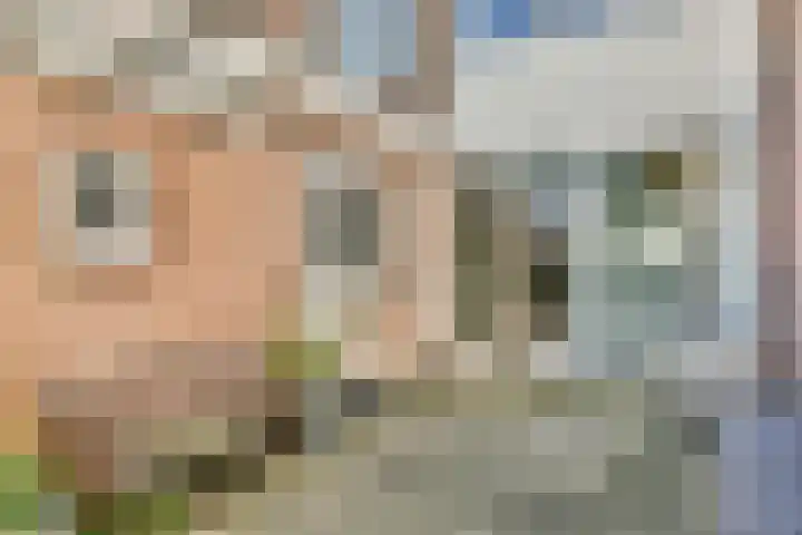 Opveld 28 Amsterdam thumbnail 15