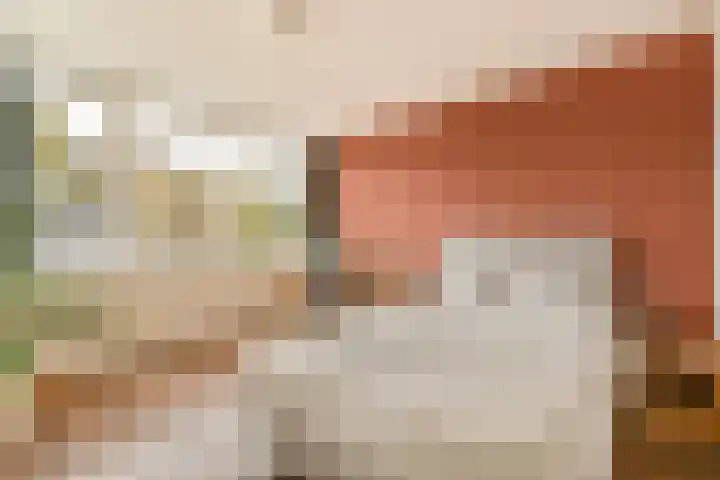 Opveld 28 Amsterdam thumbnail 17