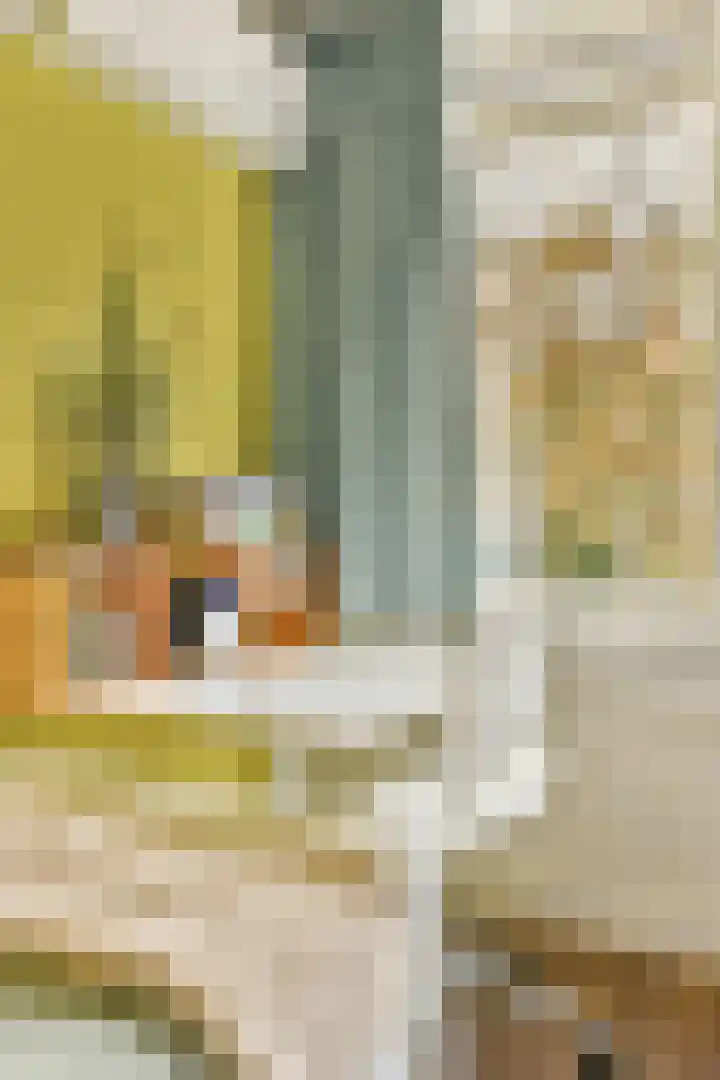 Opveld 28 Amsterdam thumbnail 21