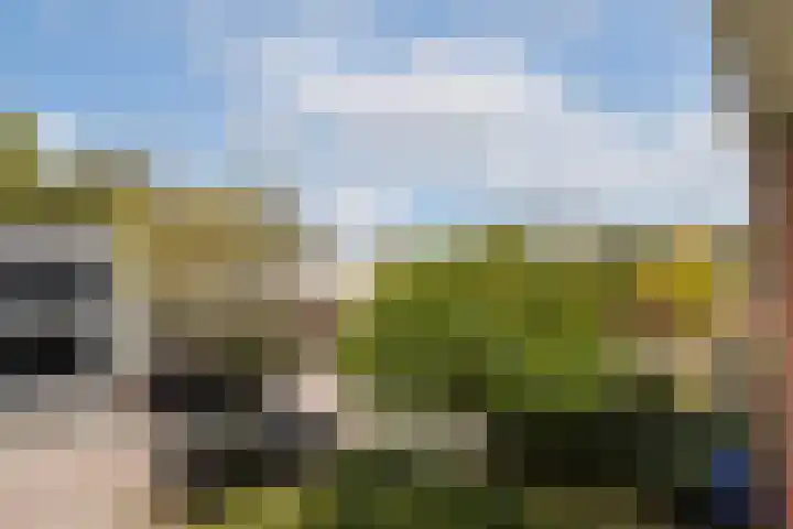 Opveld 28 Amsterdam thumbnail 27