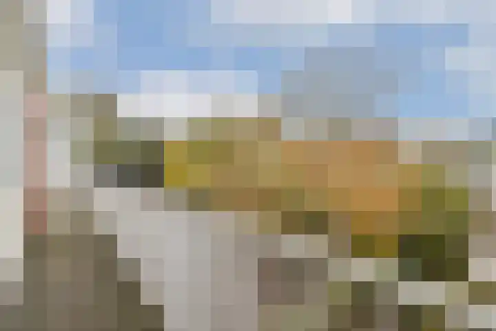 Opveld 28 Amsterdam thumbnail 32
