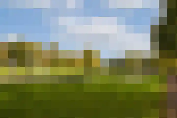 Opveld 28 Amsterdam thumbnail 42