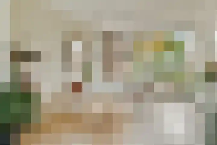 Opveld 28 Amsterdam thumbnail 5