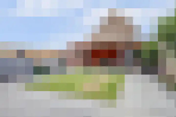 Opveld 45 Cothen thumbnail 32