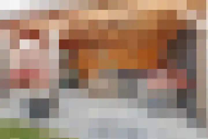 Opveld 45 Cothen thumbnail 34