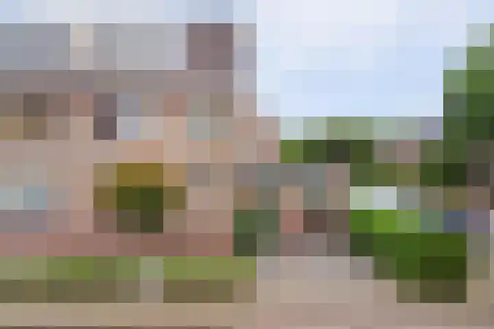 Opveld 45 Cothen thumbnail 39
