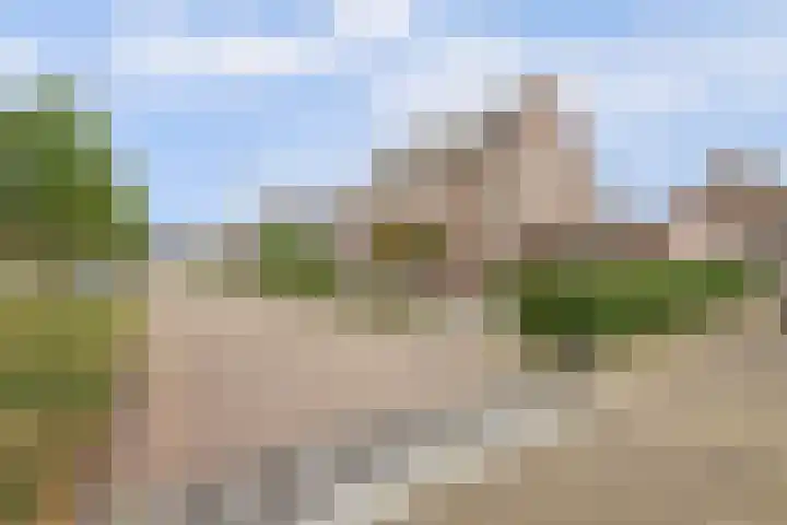 Opveld 45 Cothen thumbnail 40