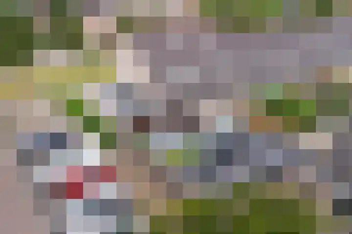 Opveld 45 Cothen thumbnail 41
