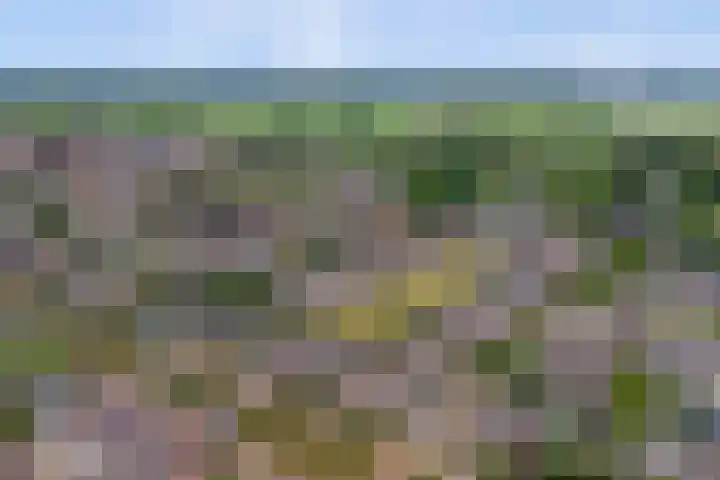 Opveld 45 Cothen thumbnail 42