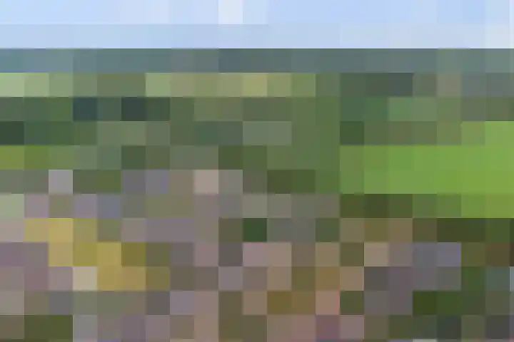 Opveld 45 Cothen thumbnail 43
