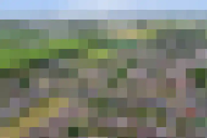Opveld 45 Cothen thumbnail 44