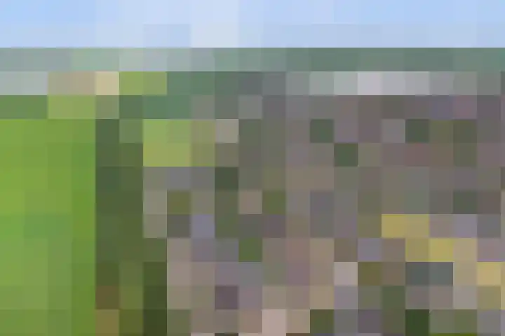 Opveld 45 Cothen thumbnail 45