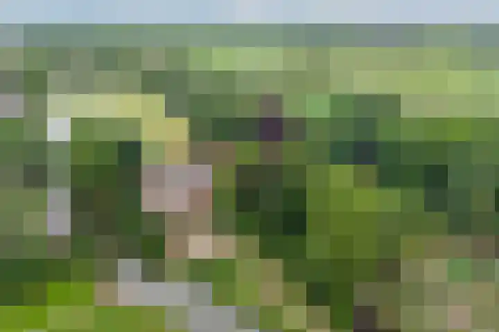 Opveld 45 Cothen thumbnail 46