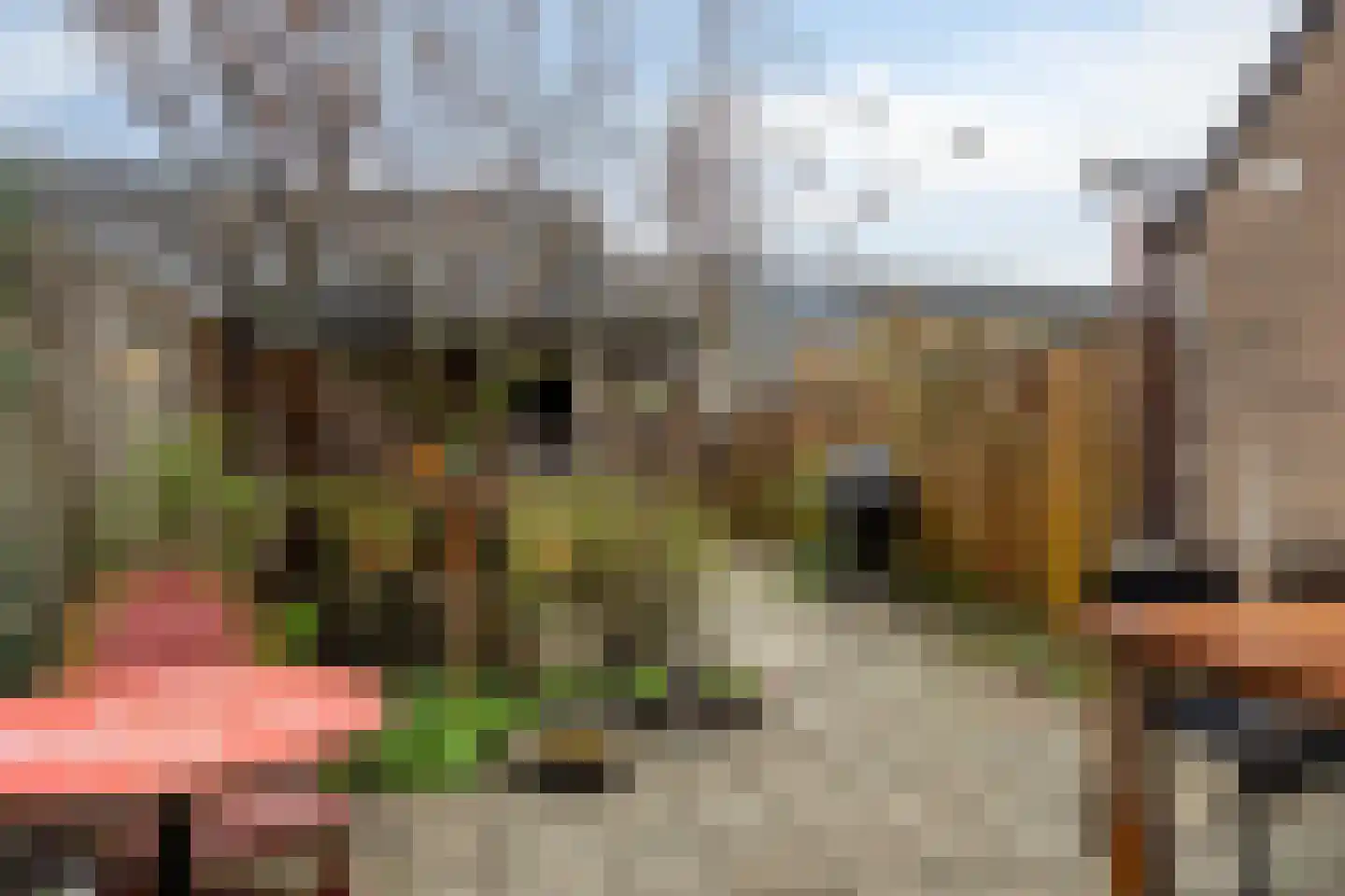 Opveld 46 Ede thumbnail 25