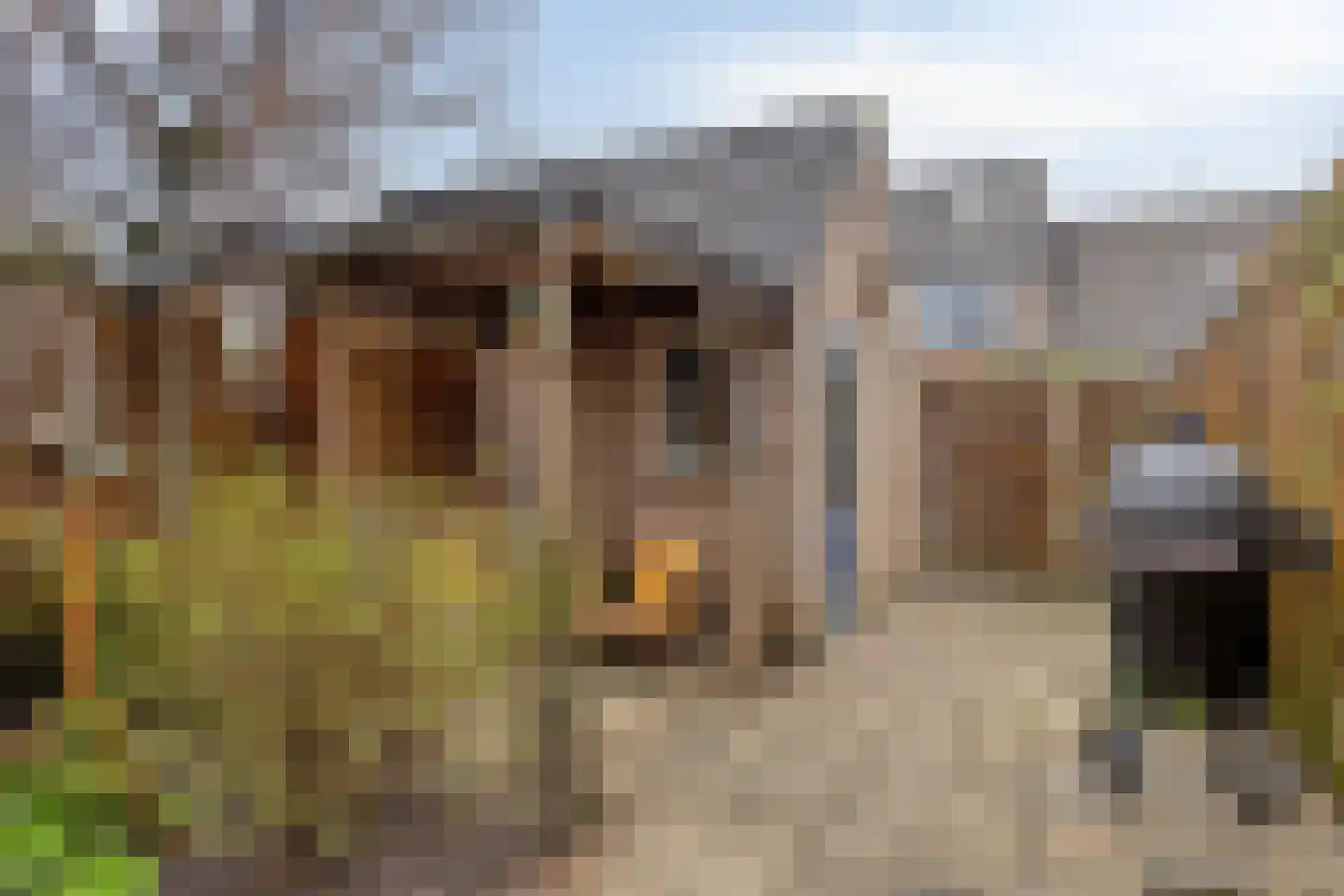 Opveld 46 Ede thumbnail 26