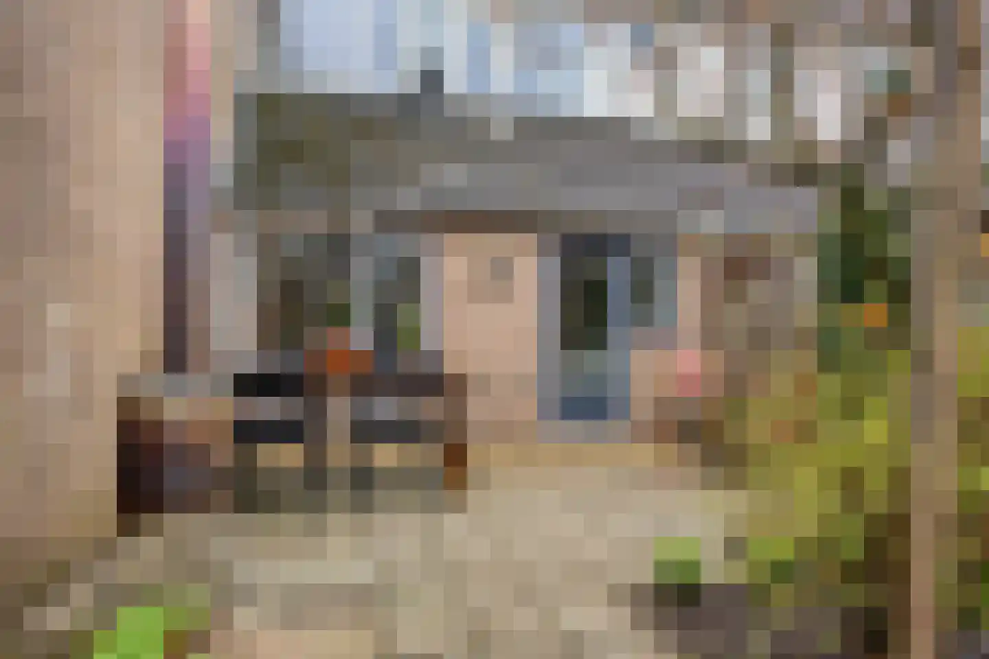 Opveld 46 Ede thumbnail 28