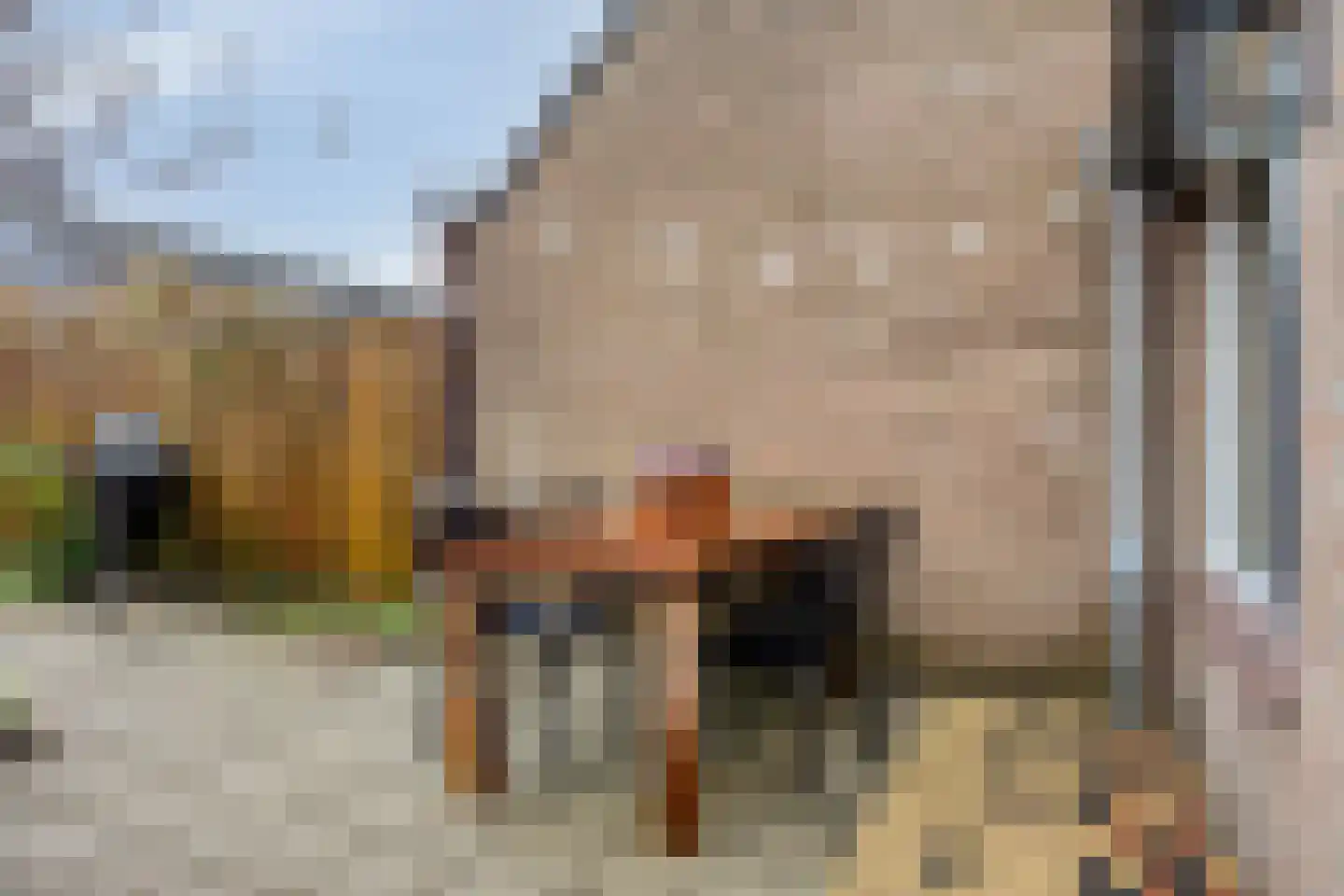 Opveld 46 Ede thumbnail 29