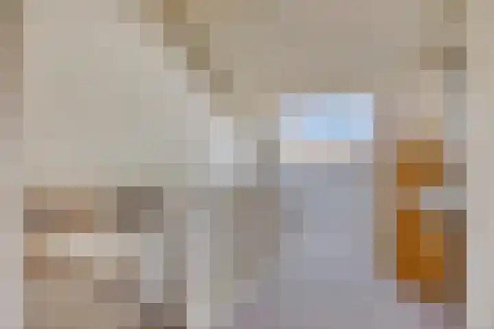 Opvliet 4 Hendrik-Ido-Ambacht thumbnail 32