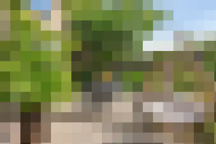 Opvliet 4 Hendrik-Ido-Ambacht thumbnail 4