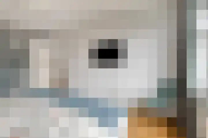 Opweg 44 Hekendorp thumbnail 21