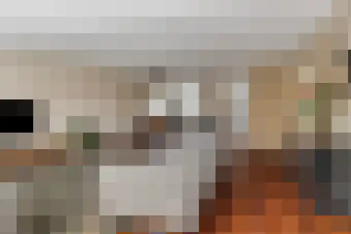 Opweg 44 Hekendorp thumbnail 5