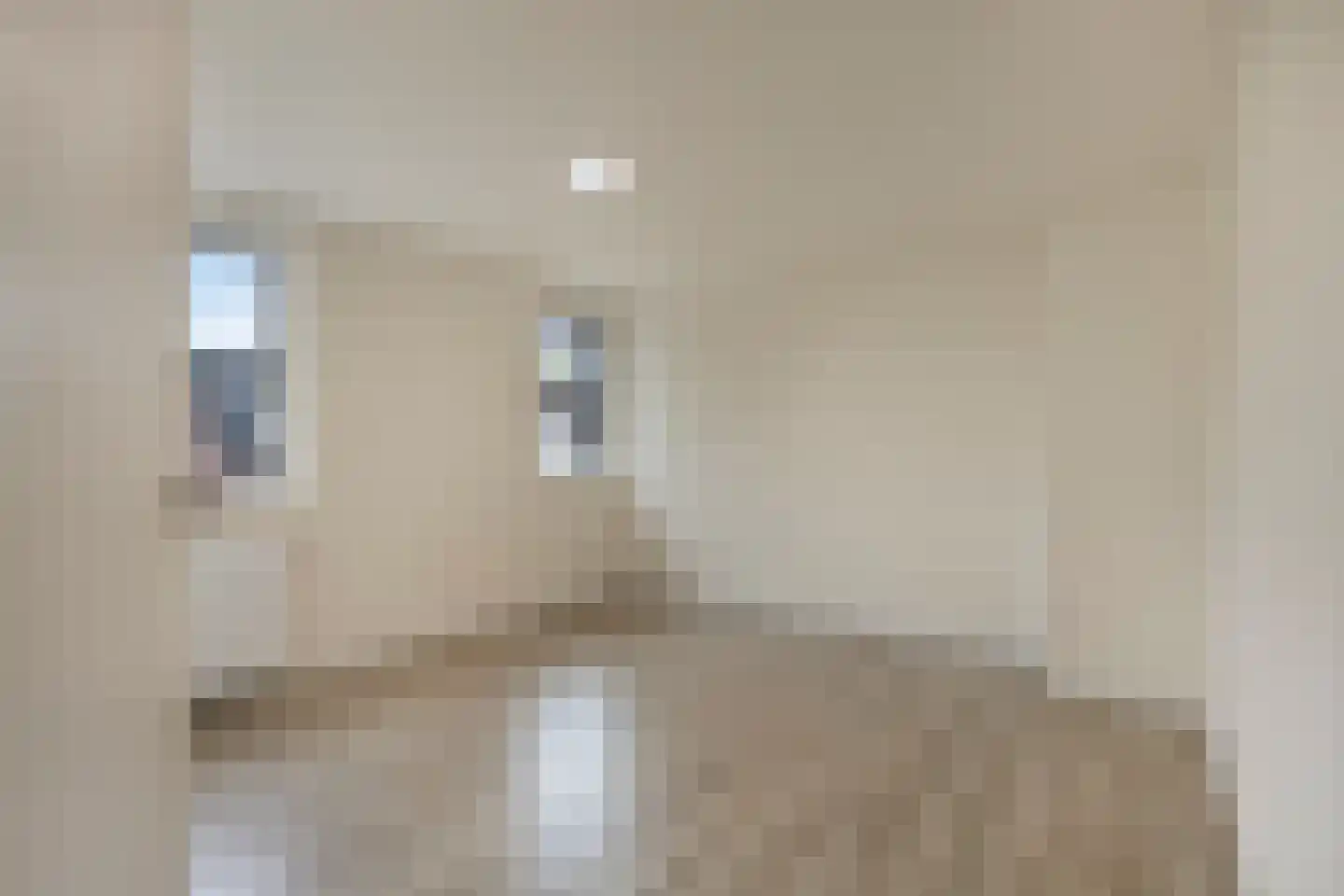 Opwettenseweg 110 Nuenen thumbnail 17