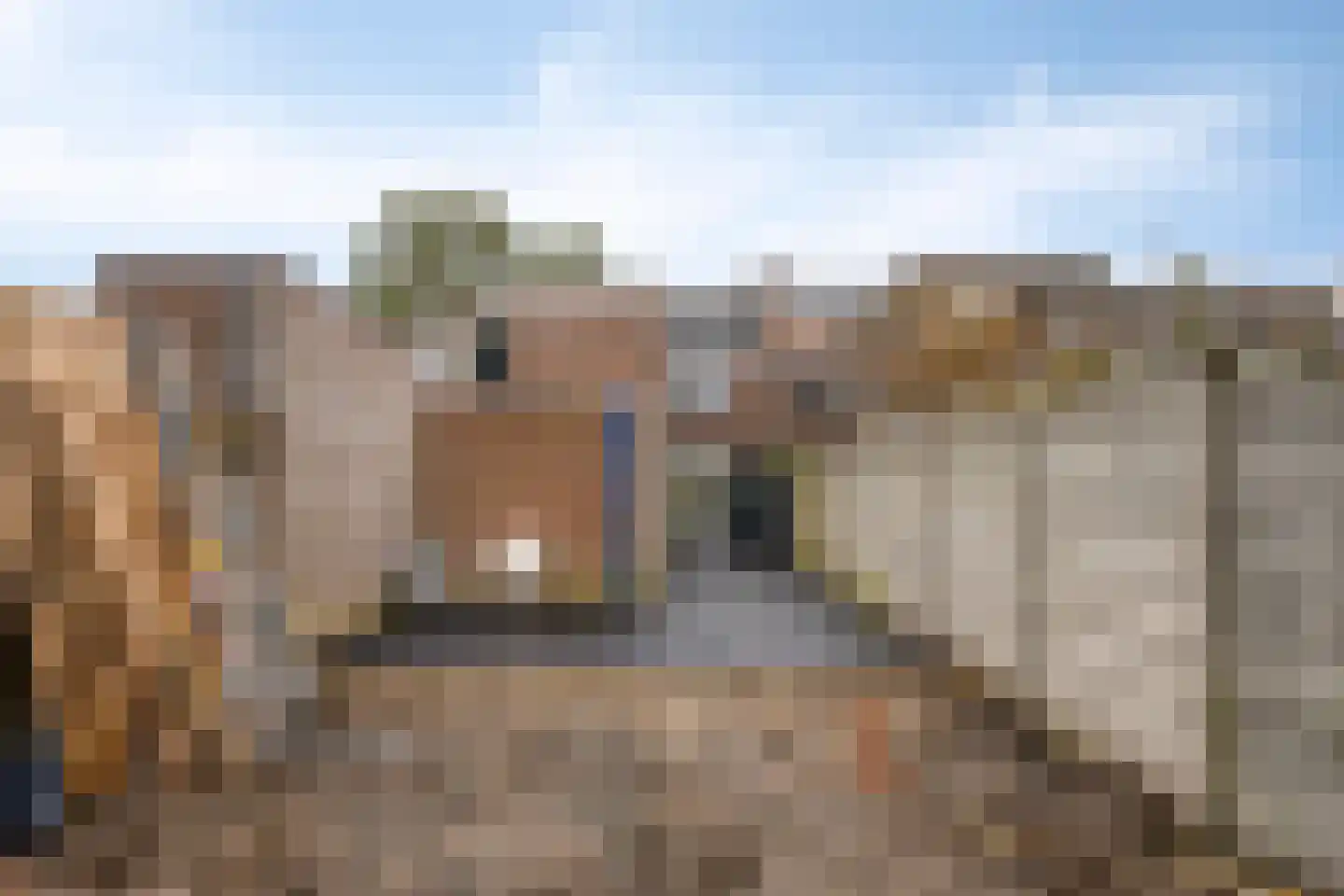 Opwettenseweg 110 Nuenen thumbnail 25