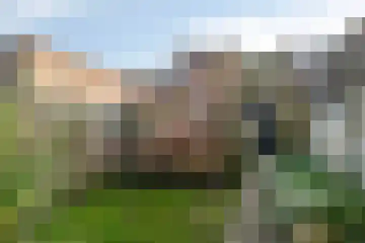 Opwettenseweg 110 Nuenen thumbnail 30