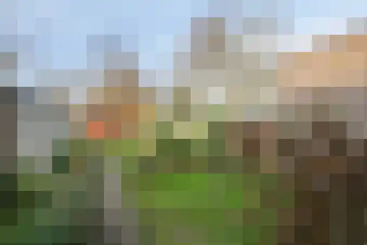 Opwettenseweg 110 Nuenen thumbnail 31