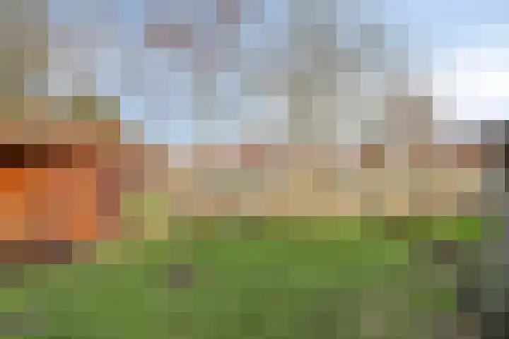 Opwettenseweg 110 Nuenen thumbnail 33