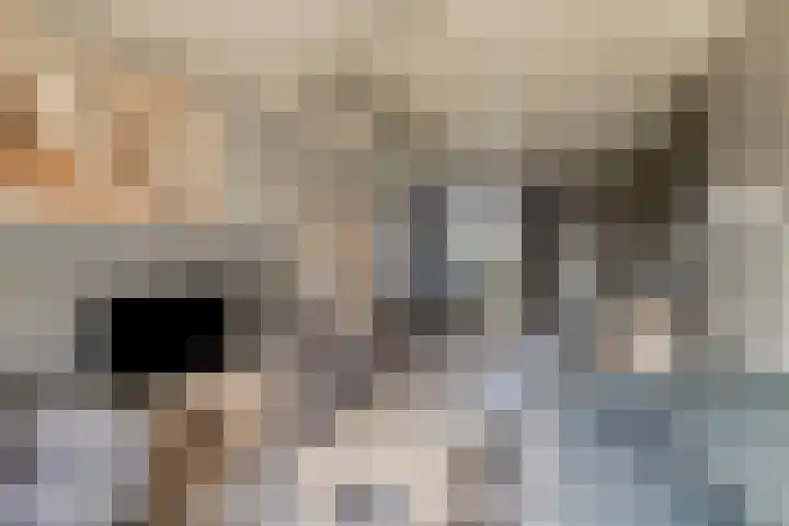 Opwettenseweg 110 Nuenen thumbnail 8